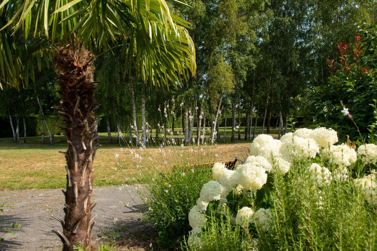 Au Fil Du Vizezy - Chambre D'Hotes Savigneux  Kültér fotó
